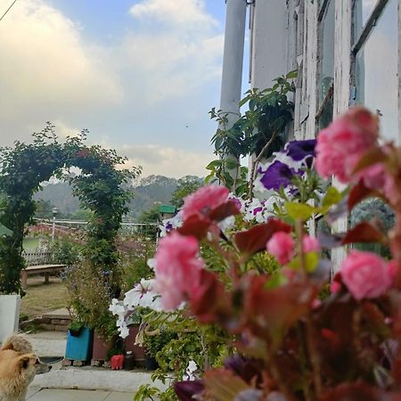 Mohraj Home Stay Bhowali Bagian luar foto