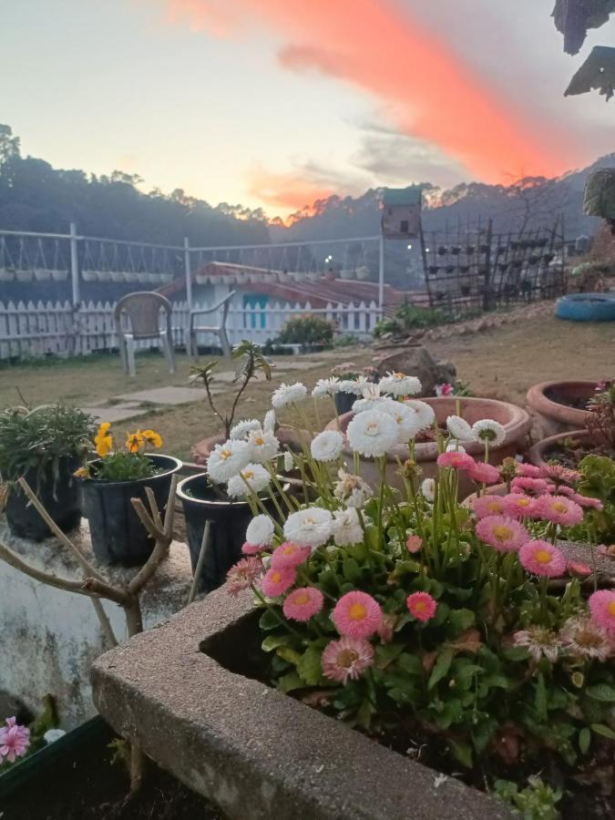 Mohraj Home Stay Bhowali Bagian luar foto