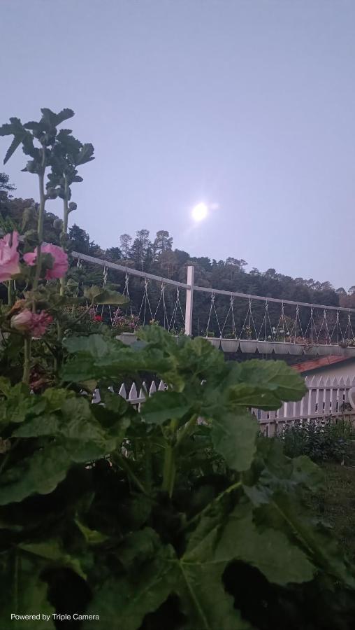 Mohraj Home Stay Bhowali Bagian luar foto