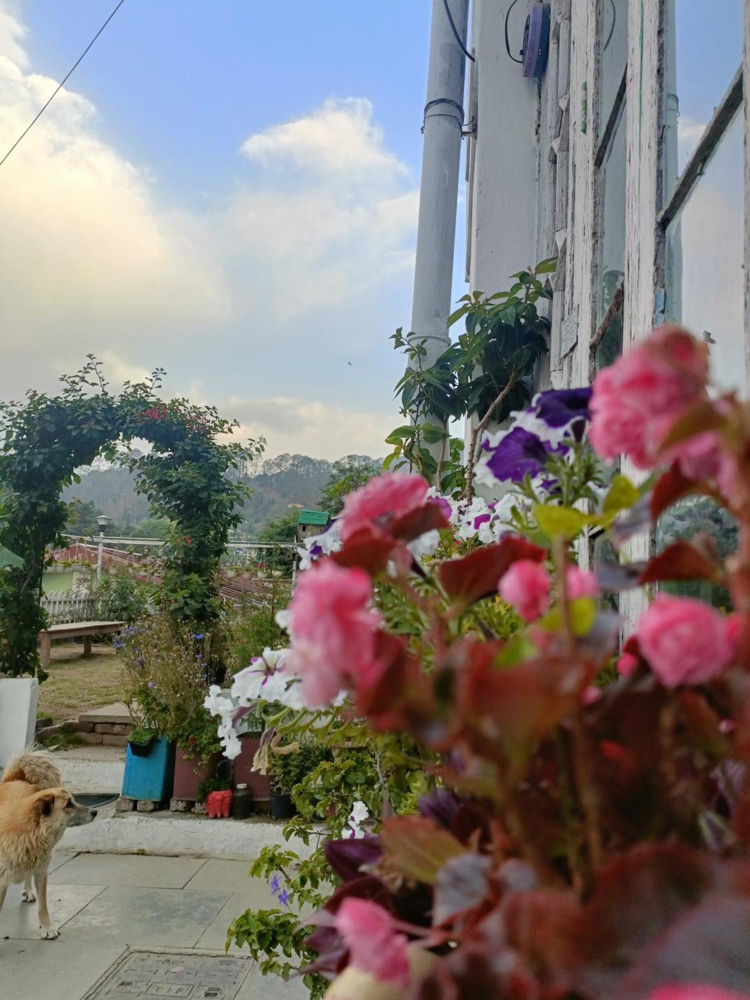 Mohraj Home Stay Bhowali Bagian luar foto